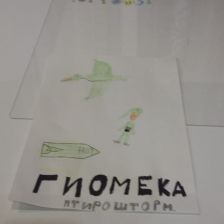 Галина Михайловна Когтина в конкурсе «Геомека»