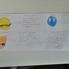 Полина Сергеевна