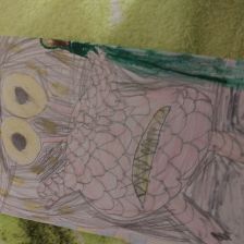 Максим Владимирович Шнайдер