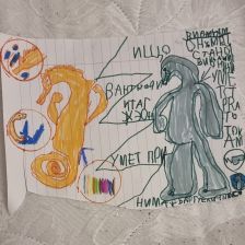 Дмитрий Владимирович Крюков