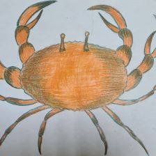 Константин Андреевич Попов