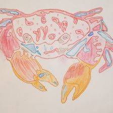 Алексей Лапита