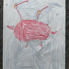 Надя Олеговна Дрегнина