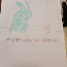 Катя Степанская