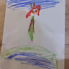 Дарья Дмитриевна Сорокина