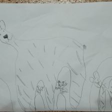 Александра Алямкина