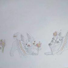 Артемий Дмитревич Шабалдин в конкурсе «День приключений с мамой»