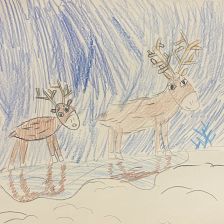 Маша Ермакова