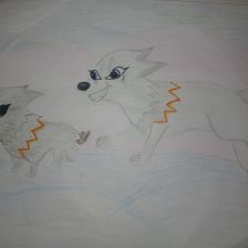 Полина Голикова