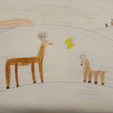 Софья Болтырова