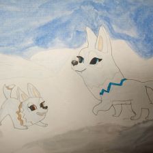 Цыбулько Глеб Владимирович