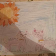 Женя Богомолова