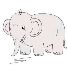 Дима Александрович Лесной