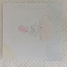 Диляра Расиховна Шамаева