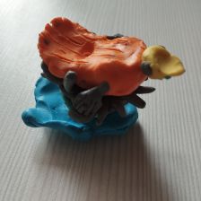 Арина