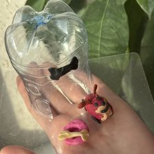 Агния в конкурсе «Праздничные изобретения»