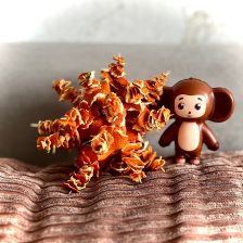 Алиса в конкурсе «Праздничные изобретения»