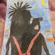 Анна Витвинина