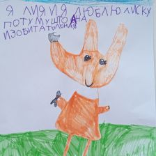 Лия Руслановна Имамеева в конкурсе «Кто твой оранжевый герой?»