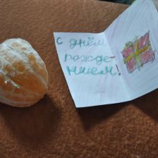 Любовь Даниловна Ардушевская