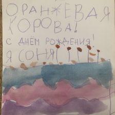 Софья Никитцева