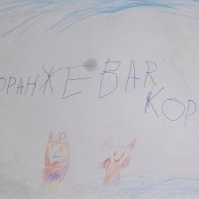 Василиса Григорьевна Адинцова в конкурсе «Оранжевый сюрприз»