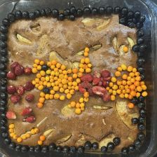 Полина Романовна Серегина