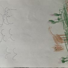 Алина Александровна Овсиенко в конкурсе «Оранжевый сюрприз»