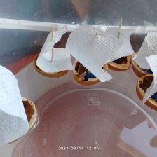 Тимофей Карпов в конкурсе «Оранжевый сюрприз»