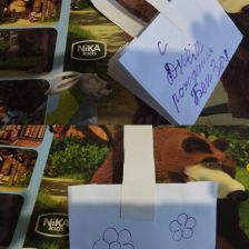 Дима Денисович Воротников