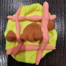 Максим Сергеевич Кодолов в конкурсе «Оранжевое настроение»