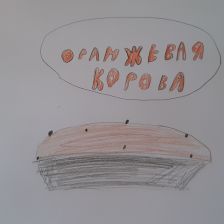 Юлия Николаевна Сутулова в конкурсе «Оранжевое настроение»