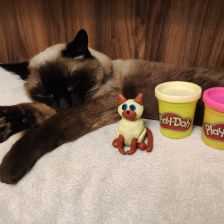 Эва Азаматовна Насырова в конкурсе «Play-Doh питомцы»