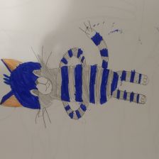 Арина Евгеньевна Толстосумова