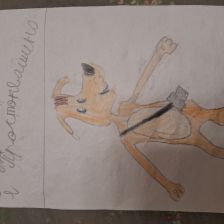 Иван в конкурсе «С днём рождения, Простоквашино!»