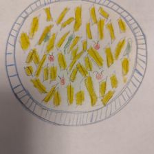 Костя Александрович Рой в конкурсе «Сказочные Рецепты: Готовим с Царем!»