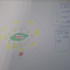 Максим Дмитриевич Миронов в конкурсе «Сказочные Рецепты: Готовим с Царем!»