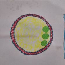 Виктория Витальевна Туринцева в конкурсе «Сказочные Рецепты: Готовим с Царем!»