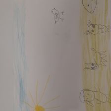 Патимат Расуловна Ибрагимова