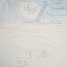 Софья Олеговна Нохрина