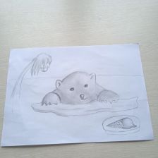 Максим в конкурсе «Путешествие с Умкой и его друзьями»