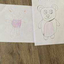 Вера Геннадьевна Хомякова