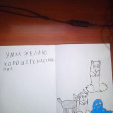 Диана Евгеньевна Матренина в конкурсе «С праздником, Умка!»