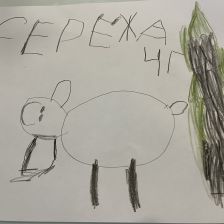 Сережа Анатольевич Кошелев