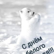 Александр Александр Быков Быков