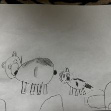 Софья Сочалова