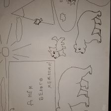 Варвара Валерьевна Голубева