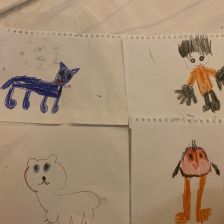 Богдан Никитич Шахов