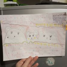 Марина Амирхановна Аушева