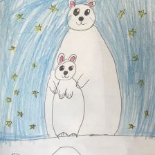 Вероника Ширнина